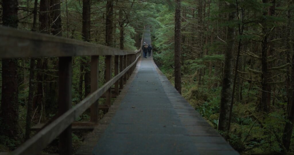 Two visitors walk across a suspension bridge through a dense evergreen forest on a quiet nature trail.