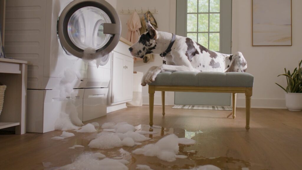 Great Dane watches suds spill from an overflowing washing machine onto a hardwood laundry room floor.